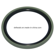 Peças de borracha O Ring e PTFE Slide Ring Spgo